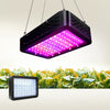 Greenfingers 1000W LED Grow Light Full Spectrum