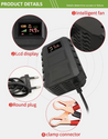 SHOP FU - 12V AU smart charger automatic repairer for car