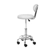 Artiss 2X Salon Stool Swivel Backrest Chair Barber Hairdressing Hydraulic Height