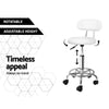 Artiss 2X Salon Stool Swivel Backrest Chair Barber Hairdressing Hydraulic Height