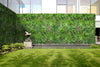 1 SQM Artificial Plant Wall Grass Panels Vertical Garden Foliage Tile Fence 1X1M