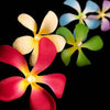 1 Set of 20 LED Tropical Bright Colous Frangipani Flower Battery String Lights Christmas Gift Home Wedding Party Decoration Outdoor Table Centrepiece